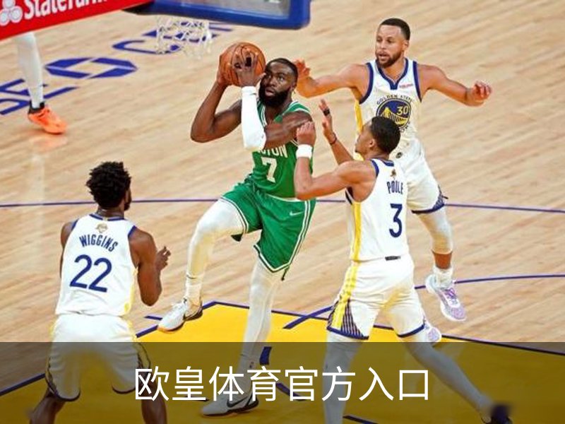 欧皇体育官方入口简介